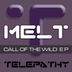 Cover art for "Melt — Call Of The Wild"