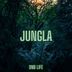 Cover art for "DNB LIFE — Jungla"