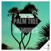 Cover art for Palm Tree Memories