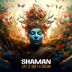 Cover art for "Shaman — Life Is Only a Dream"