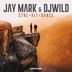 Cover art for "Jay Mark, DJWILD — Lost Kingdom (Original Club Mix)"