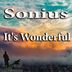 Cover art for "Sonius — It's Wonderful"