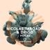 Cover art for "Drigo, Nicolas Taboada — Voices (Original Mix)"