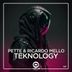 Cover art for "Pette, Ricardo Mello — Teknology"