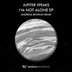 Cover art for "Jupiter Speaks — I Am Not Alone (Andreas Bowing Remix)"