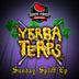 Cover art for "Yerba Terps — Turn It Around"