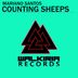 Cover art for "mariano santos — Counting Sheeps (Original Mix)"