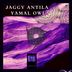 Cover art for "Jaggy Antila — Yamal Owl (Original mix)"