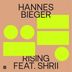 Cover art for "Hannes Bieger — Rising feat. Shrii"