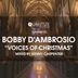 Cover art for Voices Of Christmas