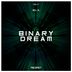 Cover art for "Nel N. — Binary Dream (Original Mix)"