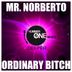 Cover art for "Mr. Norberto — Ordinary Bitch"