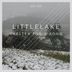 Cover art for "Littlelake — New Moon (Original Mix)"