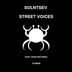 Cover art for "Solntsev — Street Voices (Original Mix)"