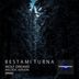 Cover art for "Bestami Turna — Wolf Dreams (Melodic Mix)"