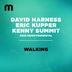 Cover art for "David Harness, Eric Kupper, Kenny Summit — Walking (2022 Remixtrumental)"