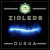 Cover art for "ZIOLERB — Dugha (Original mix)"