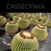 Cover art for "Casseopaya — Sarafand"