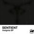 Cover art for "Sentient — SWSL"