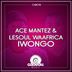 Cover art for "Ace Mantez, LeSoul WaAfrica — Iwongo (Original Mix)"