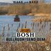 Cover art for "Bosh — Bullrush"