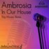 Cover art for "Ambrosia — In Our House (Big Moses Remix)"