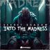 Cover art for Into the Madness