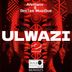 Cover art for "Alvilianx, DeeTee MusiQue — Ulwazi 2"