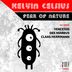 Cover art for "Kelvin Celsius — Fear of Nature (Dee Marbus Remix)"