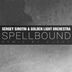 Cover art for "Golden Light Orchestra, Sergey Sirotin — Spellbound (Dj Kot Remix)"