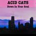 Cover art for "Acid Cats — Down in Your Soul"