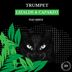 Cover art for "LIZALDE, Caparzo — Trumpet (Radio Edit)"