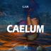 Cover art for "GAR — Caelum (Original Mix)"