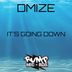 Cover art for "Dmize — It's Going Down"