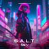 Cover art for "S.A.L.T. — 100% (Original Mix)"