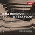 Cover art for "Ilija Djokovic, Teya Flow — Into The Unknown (Extended Mix)"