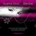 Cover art for "Sueno Soul — What You Want feat. Denzie (Vincent Kwok Remix)"