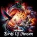Cover art for Birds of Heaven