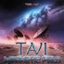 Cover art for "Tavi — Magnetic Field"