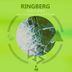 Cover art for "Ringberg — Jungle Spirit (Methodub Remix) (George Greek)"