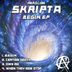 Cover art for "Skripta — Begin"