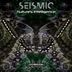 Cover art for "Seismic (BR) — Nature's Intelligence (Original Mix)"