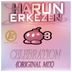 Cover art for "Harun Erkezen — Celebration"