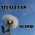 Cover art for "Selalexan — Wind"