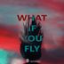 Cover art for What If You Fly