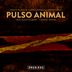 Cover art for "Disco Ruido — Pulso Animal feat. Leon Larregui (Don Alex Albert 7am Remix)"