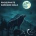 Cover art for "PHOS/PHATE — Darkside Walk (Original mix)"