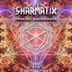 Cover art for "Sharmatix — Fractal Experience (Original Mix)"