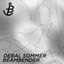 Cover art for "Debal Sommer — Dampf"