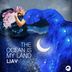 Cover art for "LJAY — The Ocean Is My Land (Original Mix)"